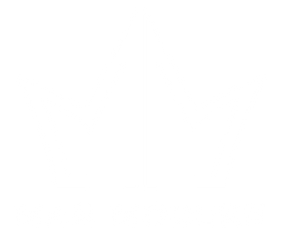 The Man Modern Store